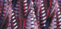 HSS-3.png