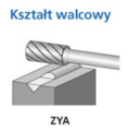 ZYA-1.png